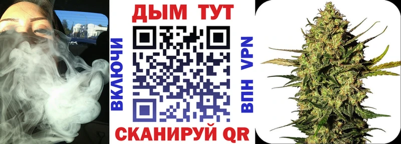 Галлюциногенные грибы Сергач