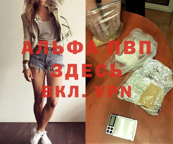 мяу мяу мука Инсар
