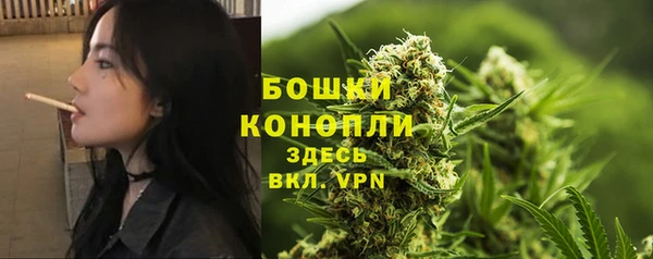 мяу мяу мука Инсар