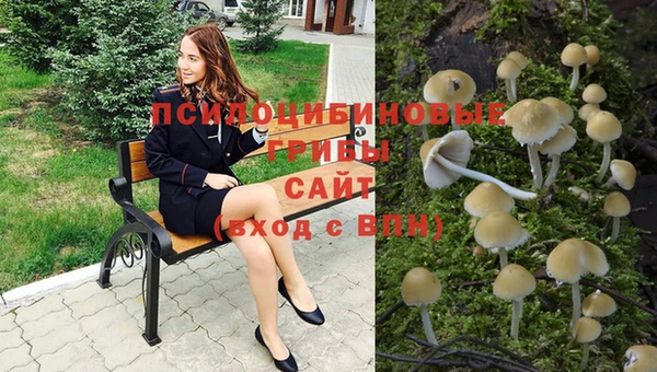 мяу мяу мука Инсар