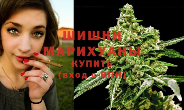 мяу мяу мука Инсар