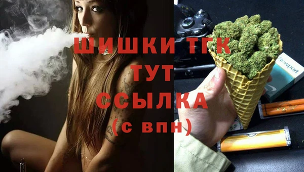 мяу мяу мука Инсар